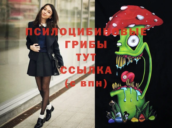 мдма Переславль-Залесский