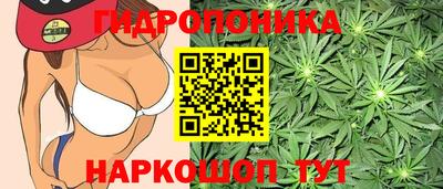 мдпв Аргун