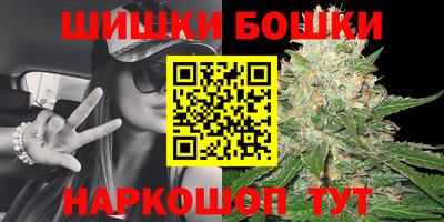 мдпв Аргун