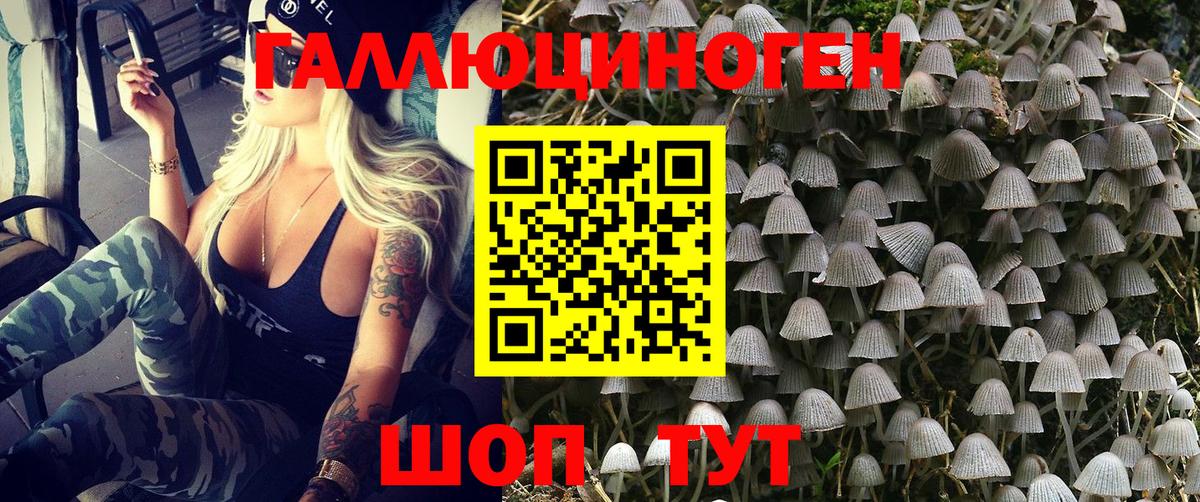 Псилоцибиновые грибы Psilocybine cubensis  Вход с VPN  Аргун 