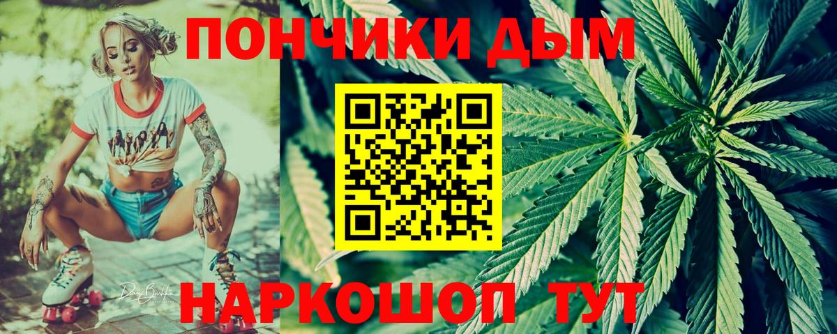 Каннабис планчик Аргун